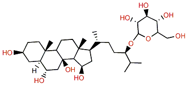 Evasterioside D